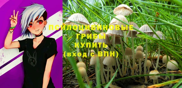 не бодяженный Баксан